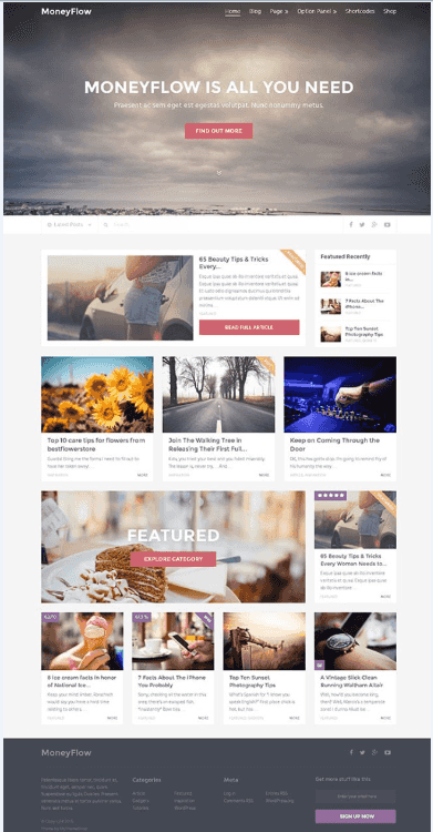 theme wordpress adsense