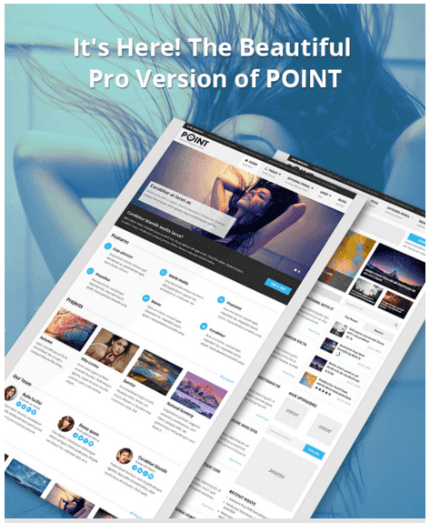 theme wordpress adsense