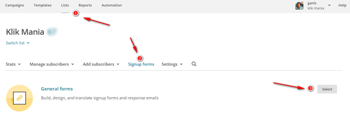  menggunakan mailchimp