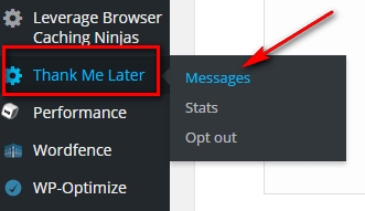 Ucapan Terimakasih Otomatis Melalui Email