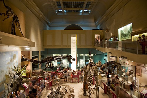aula dinosaurus
