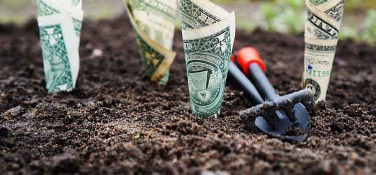 Bisnis properti perumahan