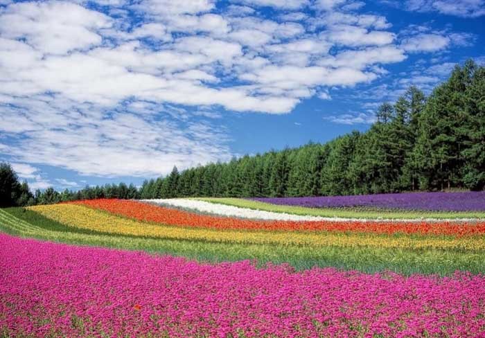 Wisata Terpopuler Di Dunia