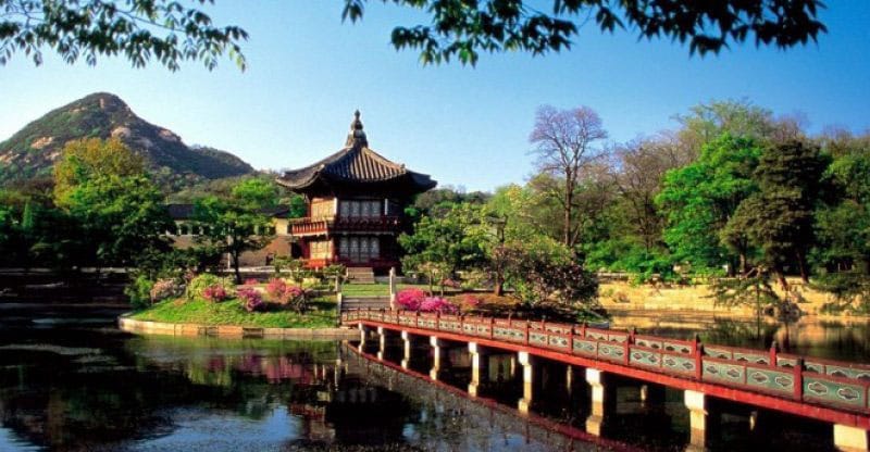 Tips Liburan ke Korea Selatan