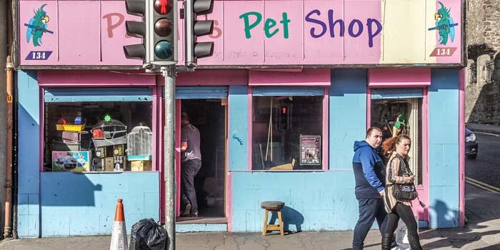 Peluang Usaha Petshop