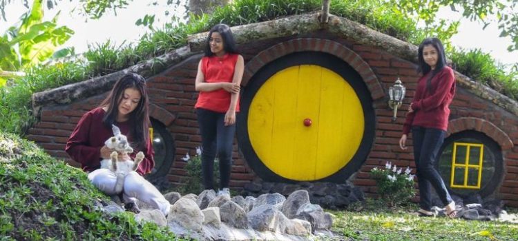 90 Foto Desain Rumah Hobbit Terlihat Keren 