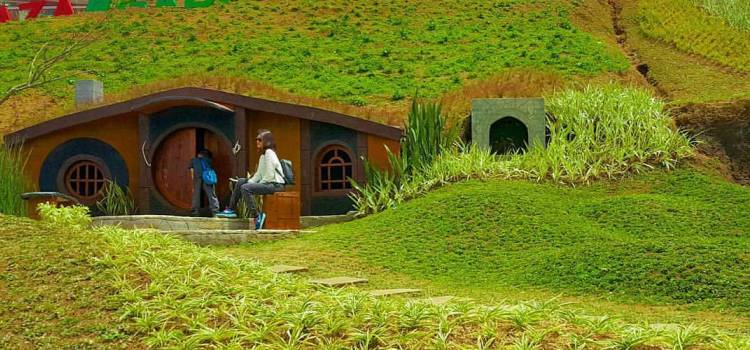 90 Foto Desain Rumah Hobbit Terlihat Keren 