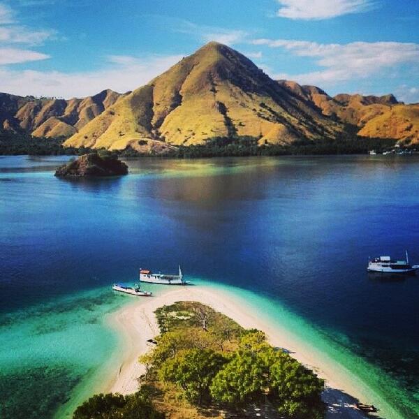 Paket Wisata Komodo