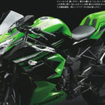 Kawasaki Indonesia Diam-diam Racik Ninja 125, Benarkah ?