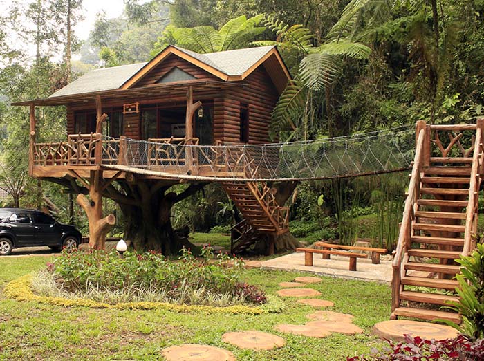 Rumah Pohon Taman Safari