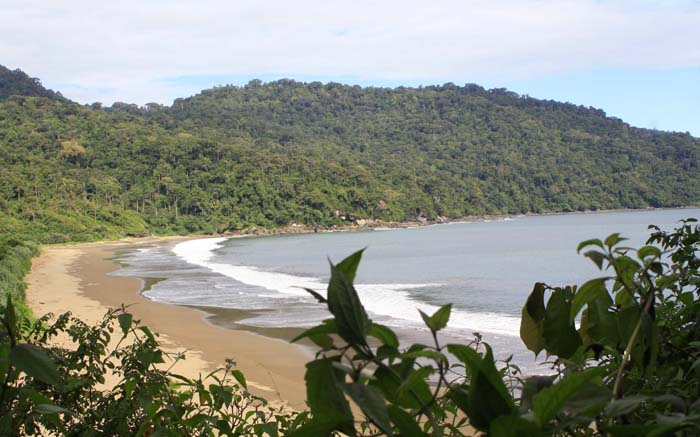 Wisata Pantai Terbaik di Jember