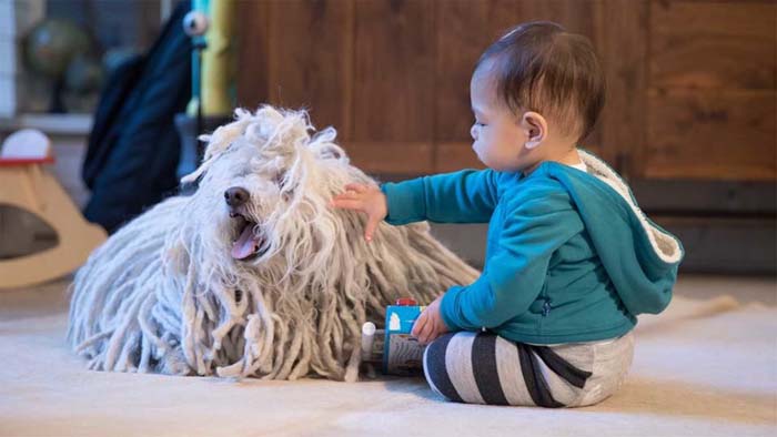 Fakta Unik Mark Zuckerberg