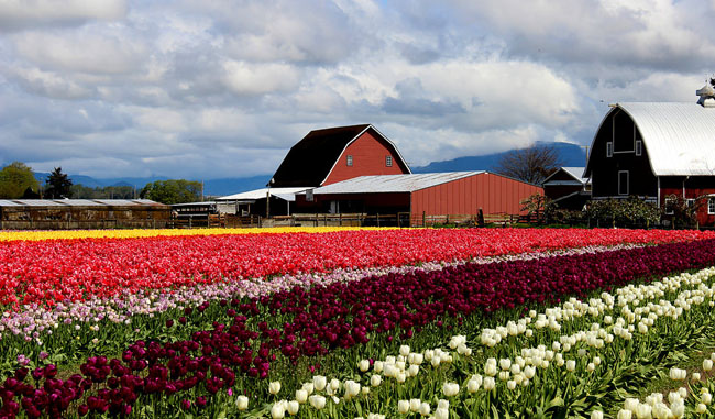 Tempat Paling Menakjubkan di Amerika Serikat