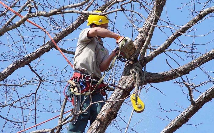 Pekerjaan paruh waktu di Amerika