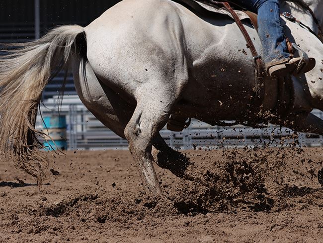 Canon EOS 90D preview