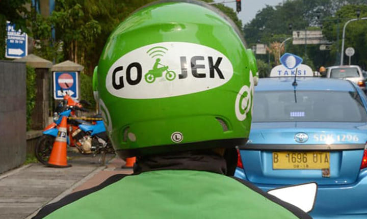 gojek bird