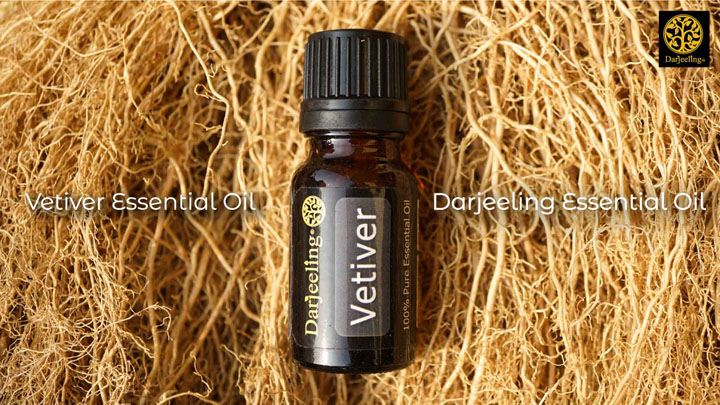 Vetiver Essential Oil