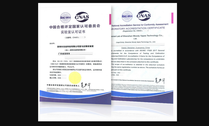 Perusahaan Induk VOOPOO