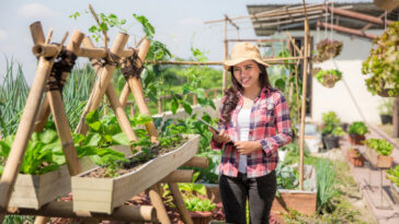 Ide Usaha Ibu Rumah Tangga di Kampung